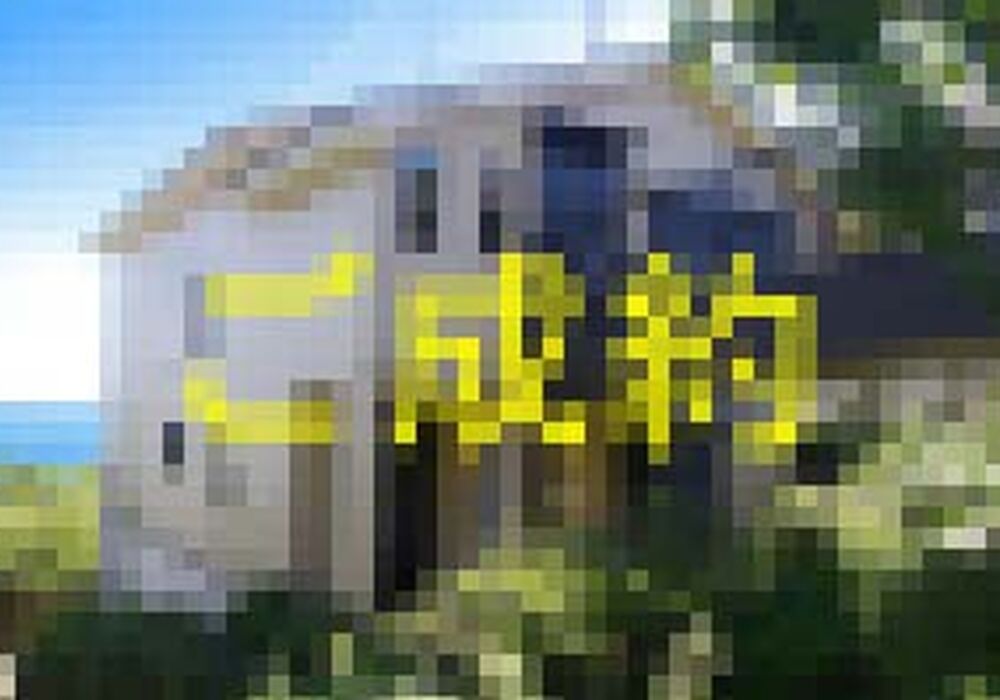 R3617-00-1-300x199
