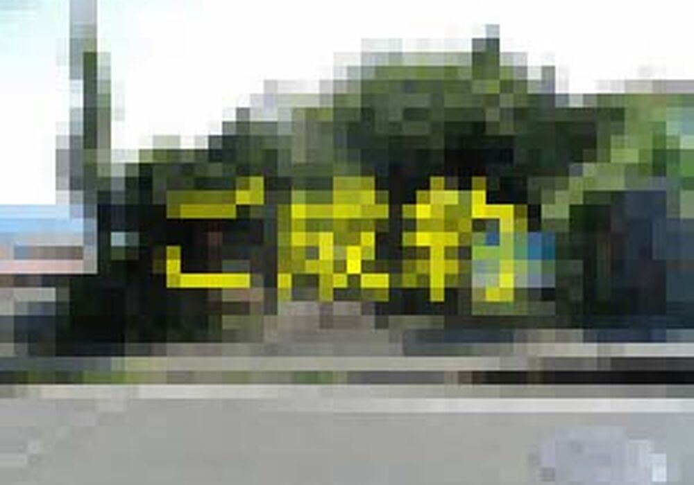 R3986-00-300x225