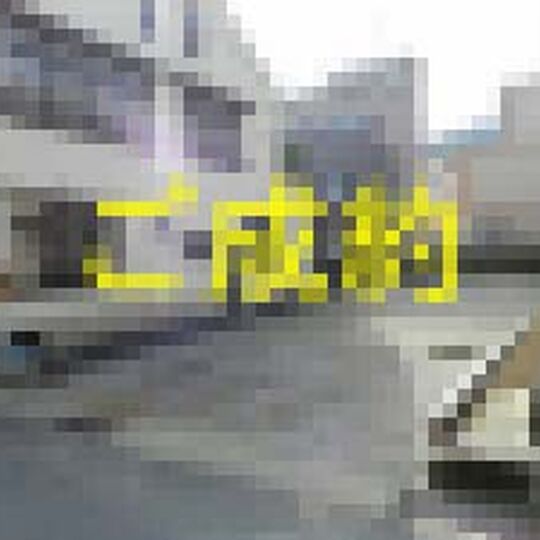 R3813-00-300x225