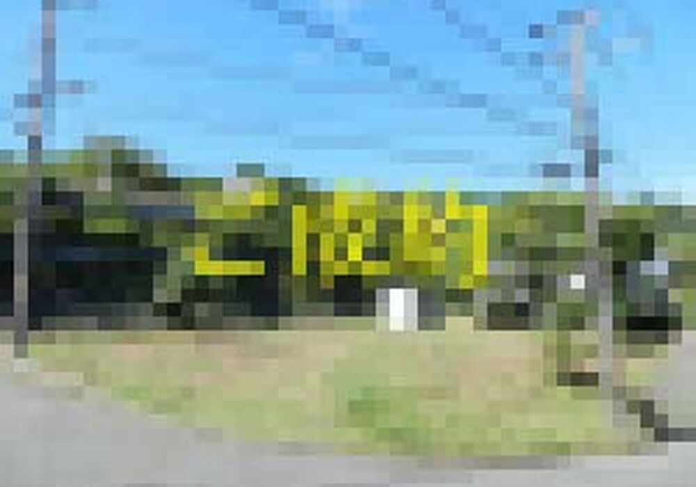 R3063-01-300x225