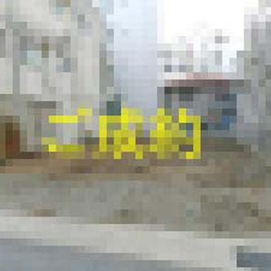 R3104-01-300x225