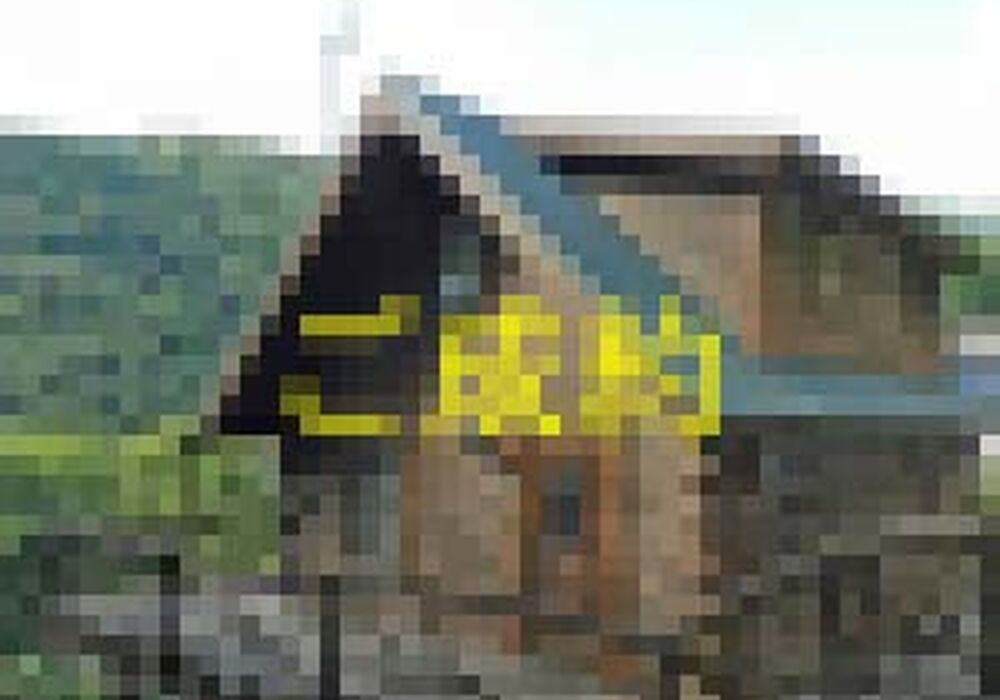 R3093-011-300x225