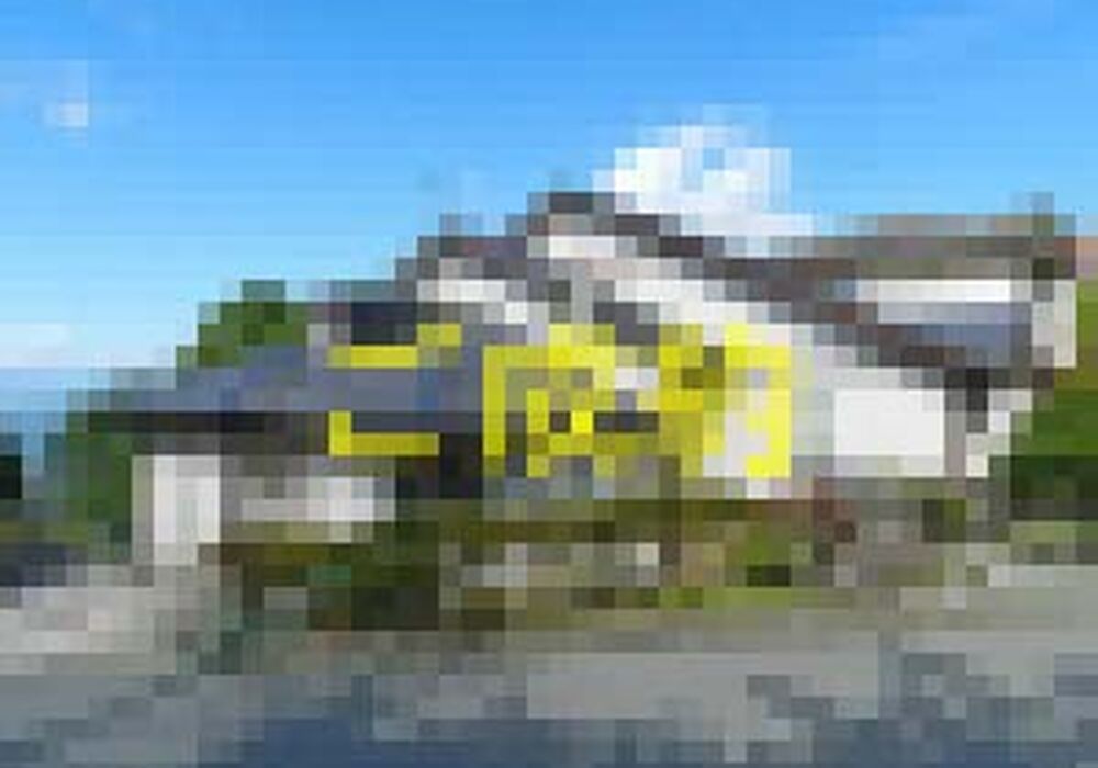 R3081-01-300x225