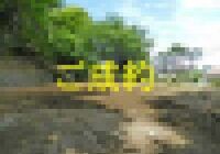 R3200-001-300x225
