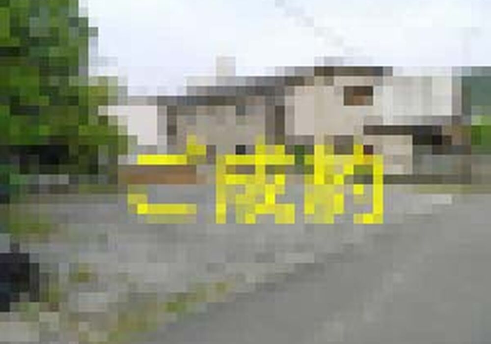 R3215-00-1-300x225