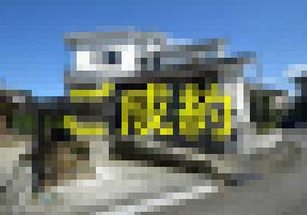 R3380-00-300x201