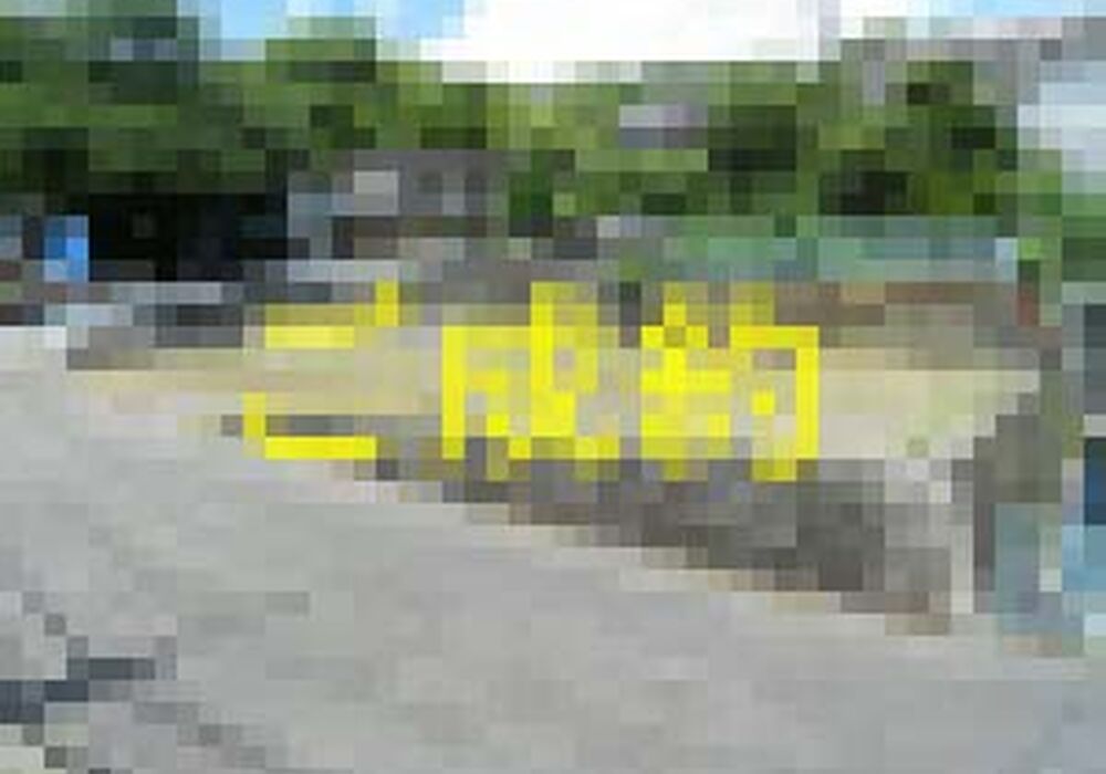 R3367-00-1-300x225