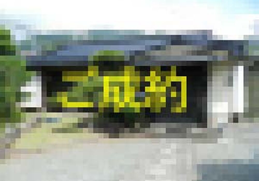 R3373-00-300x225