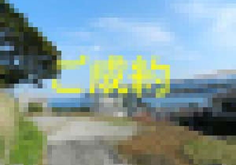 R3178-00-300x225