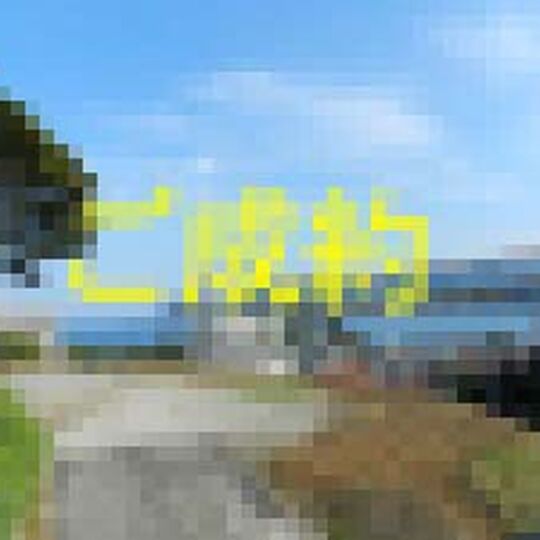 R3178-00-300x225