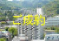 R3541-00-300x225